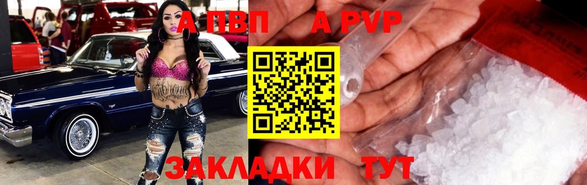 Альфа ПВП СК КРИС Кореновск
