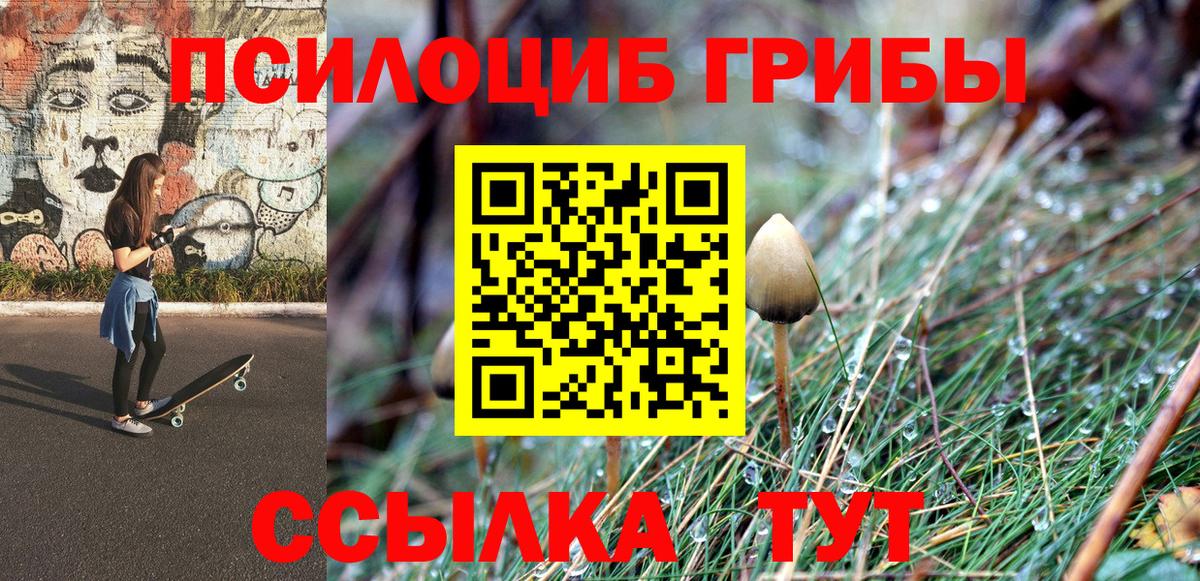 Галлюциногенные грибы Psilocybine cubensis  Вход с VPN  Кореновск  Галлюциногенные грибы MAGIC MUSHROOMS 